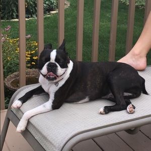 Meet your Posher, Kkristen